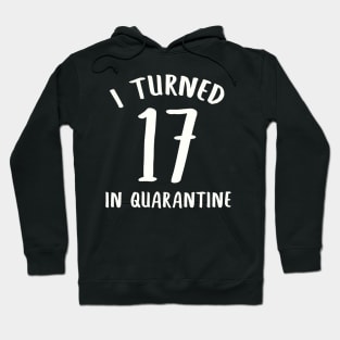 I Turned 17 In Quarantine Hoodie